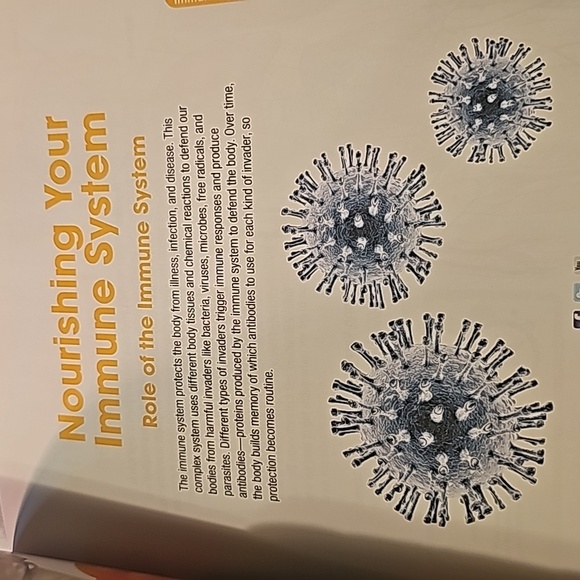 NutriBullet natural healing foods book - Picture 6 of 7